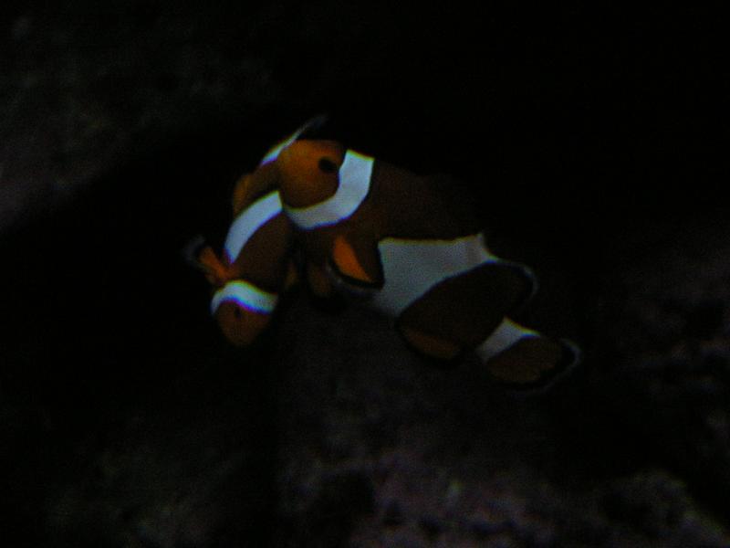 /