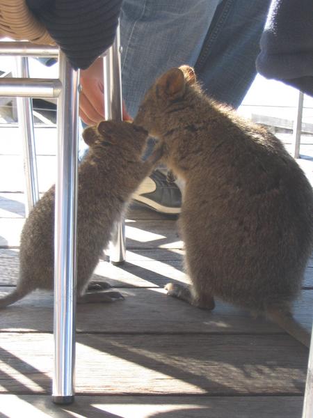 /